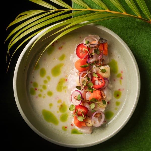 Mikhuna Japanese-Peruvian ceviche with fish, red onion, peppers, and microgreens in a light sauce.