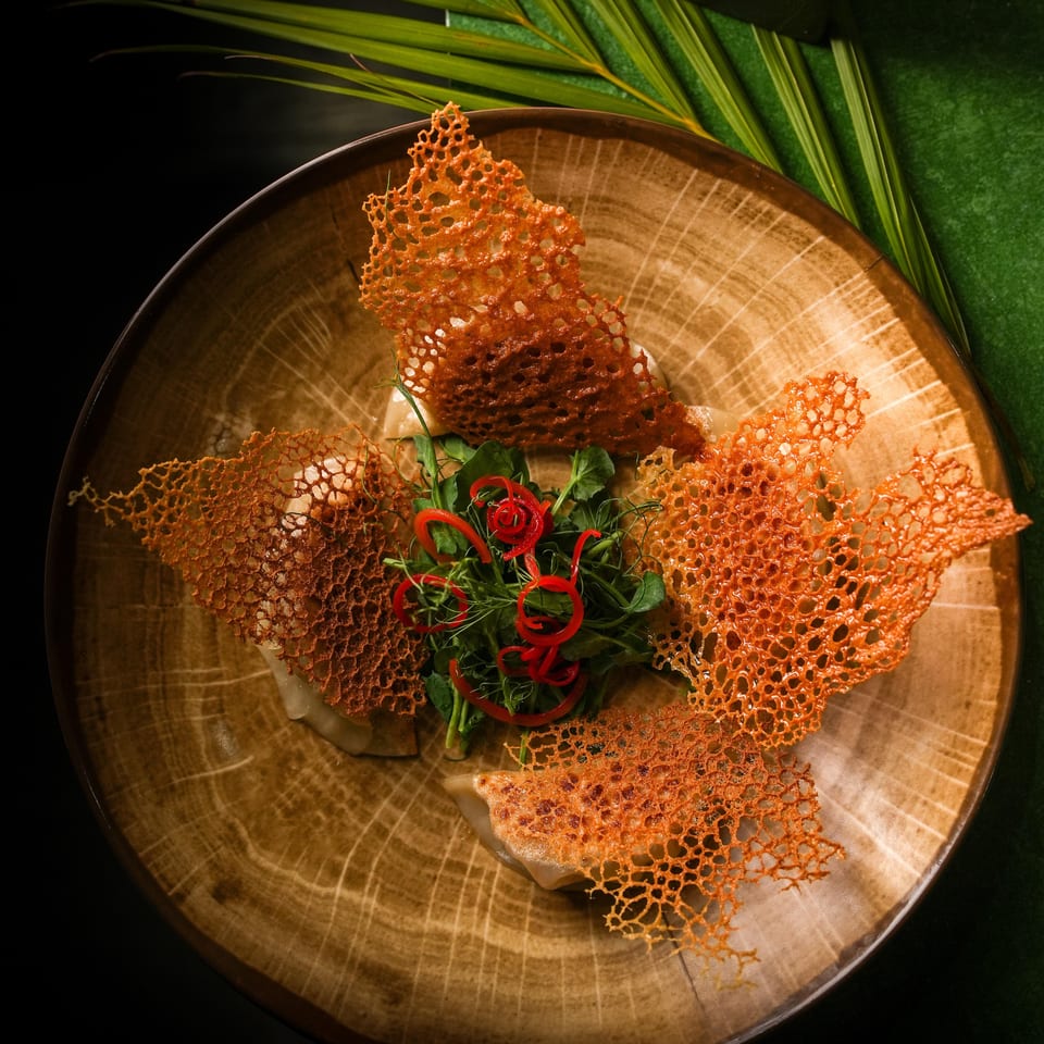 Savor Our Gyoza Delights